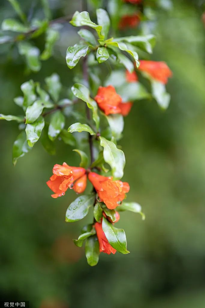 yl6809永利(集团)有限公司官网