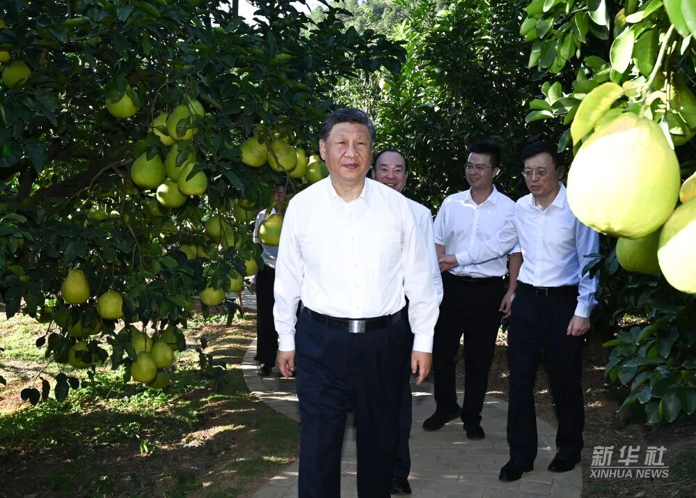 yl6809永利(集团)有限公司官网